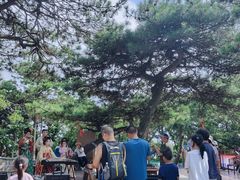 -沂蒙山旅游区龟蒙景区