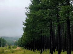 -塞罕坝国家级自然保护区