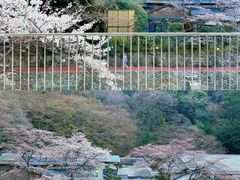 -月光园游月山庄