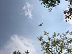景点-东郊湿地公园