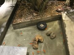 -小隐足道·按摩·主题SPA馆(西红门店)
