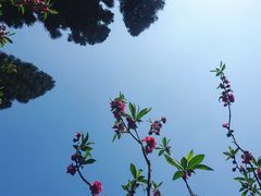 -桃花涧