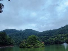 -广州白江湖森林公园