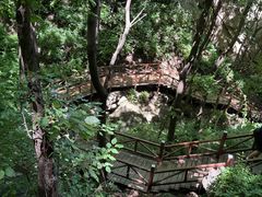 -大岭沟猕猴桃谷风景区