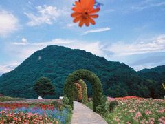 -广州市石门国家森林公园