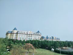 -百万葵园