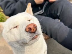 -隹木咖啡馆(宝龙广场店)