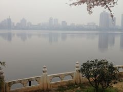 -甘棠公园