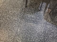 -洪氏嗨捞·猪肚鸡火锅(阳光天地店)