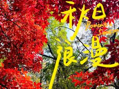 -长春市南湖公园