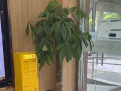 -上海仁爱医院口腔科 · 种植