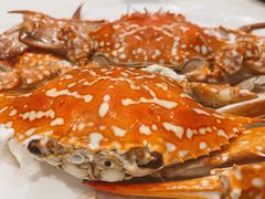 -大东海海鲜酒楼(渔人码头总店)