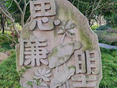 -陈家山荷花公园