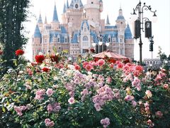 -上海迪士尼度假区