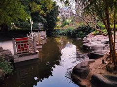 -晓港公园