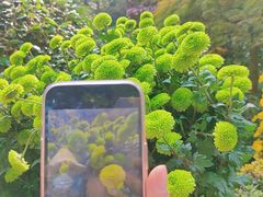 -杭州植物园