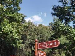 -石老人观光园