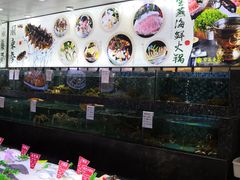水产区-宝燕壹号(徐汇店)