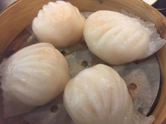 招牌虾饺皇-添运来(茶园奥园广场店)