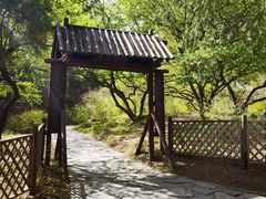 -香山公园