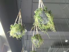 -ITA·意塔意大利餐厅(亦庄店)