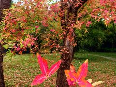 -国家植物园南园