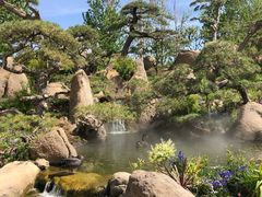 -罗红摄影艺术馆