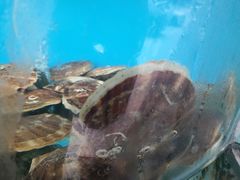 -尚品海鲜大排档