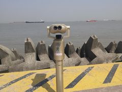 -上海滨江森林公园