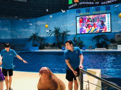 -泉城欧乐堡海洋极地世界