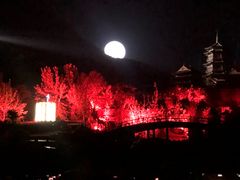 -禅宗少林·音乐大典