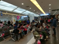 点击看大图 -上海市儿童医院(泸定路院区)