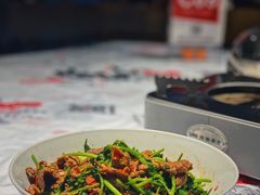 香菜炒牛肉-壹盏灯(蚂蚁工房店)