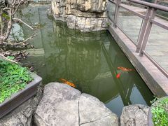 -老幺泉水鸡