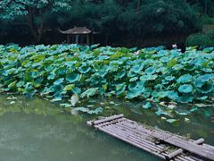 -兰亭风景区