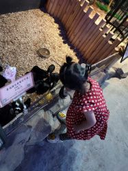 -酷嗒动物文化乐园(cutezoo西溪乐天城店)