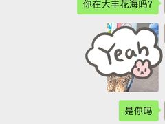 -荷兰花海