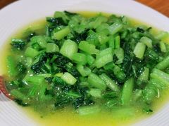 钵钵小苦菜-老滇山寨•云南特色菜•地方菜•民族风情歌舞表演(金碧店)