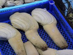 -霞涌市场海鲜摆卖区