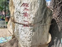 -双榆树公园