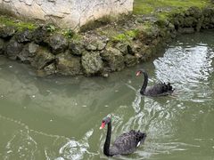 -黔灵山公园
