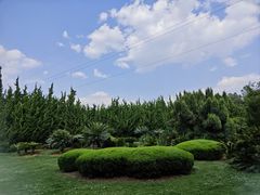 -昆明植物园