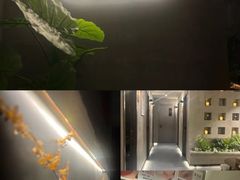 -施奈儿.洗头頭療.按摩SPA.采耳(上梅林店)