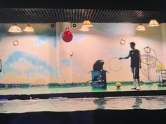 -嘉兴海底世界