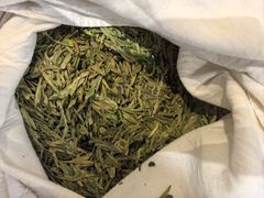 -阿巧茶庄
