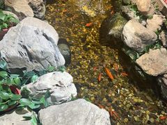 -清真·京华源铜锅涮肉(丰庆店)