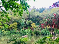 -云溪植物园