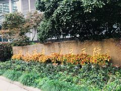 -杭州市第一人民医院(湖滨院区)