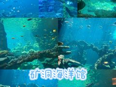 -长鹿旅游休博园