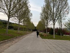 -北京西山国家森林公园